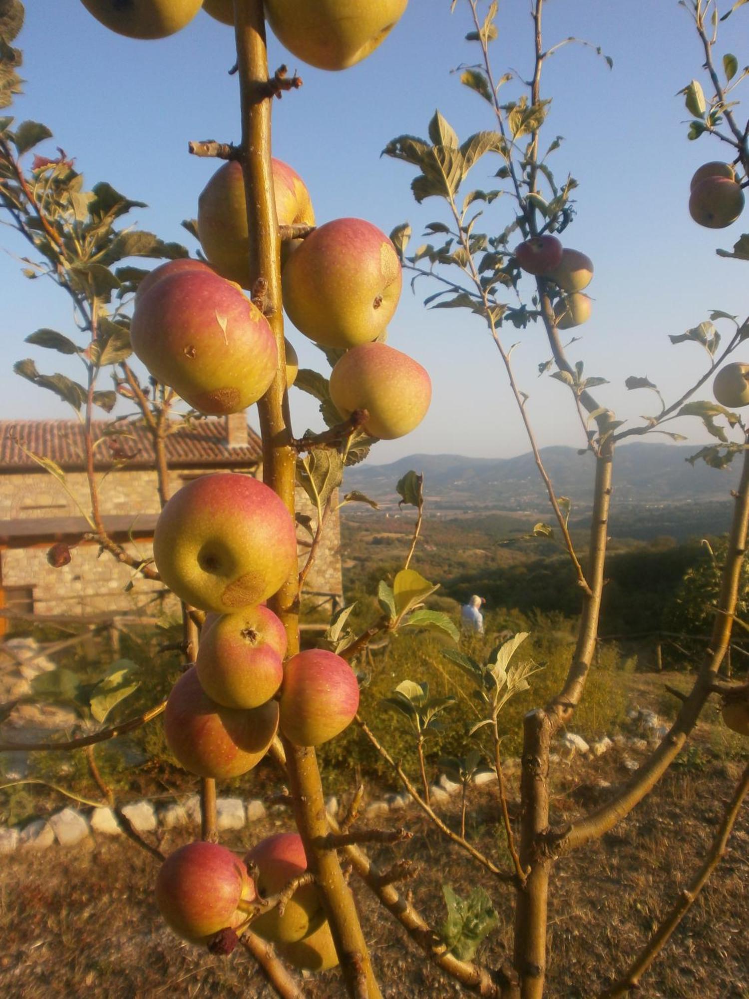 I Casali Di Colle San Paolo *