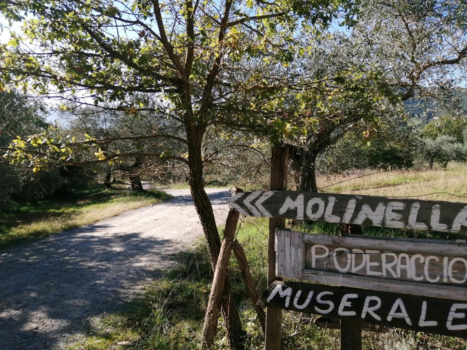 I Casali Di Colle San Paolo Bauernhof
