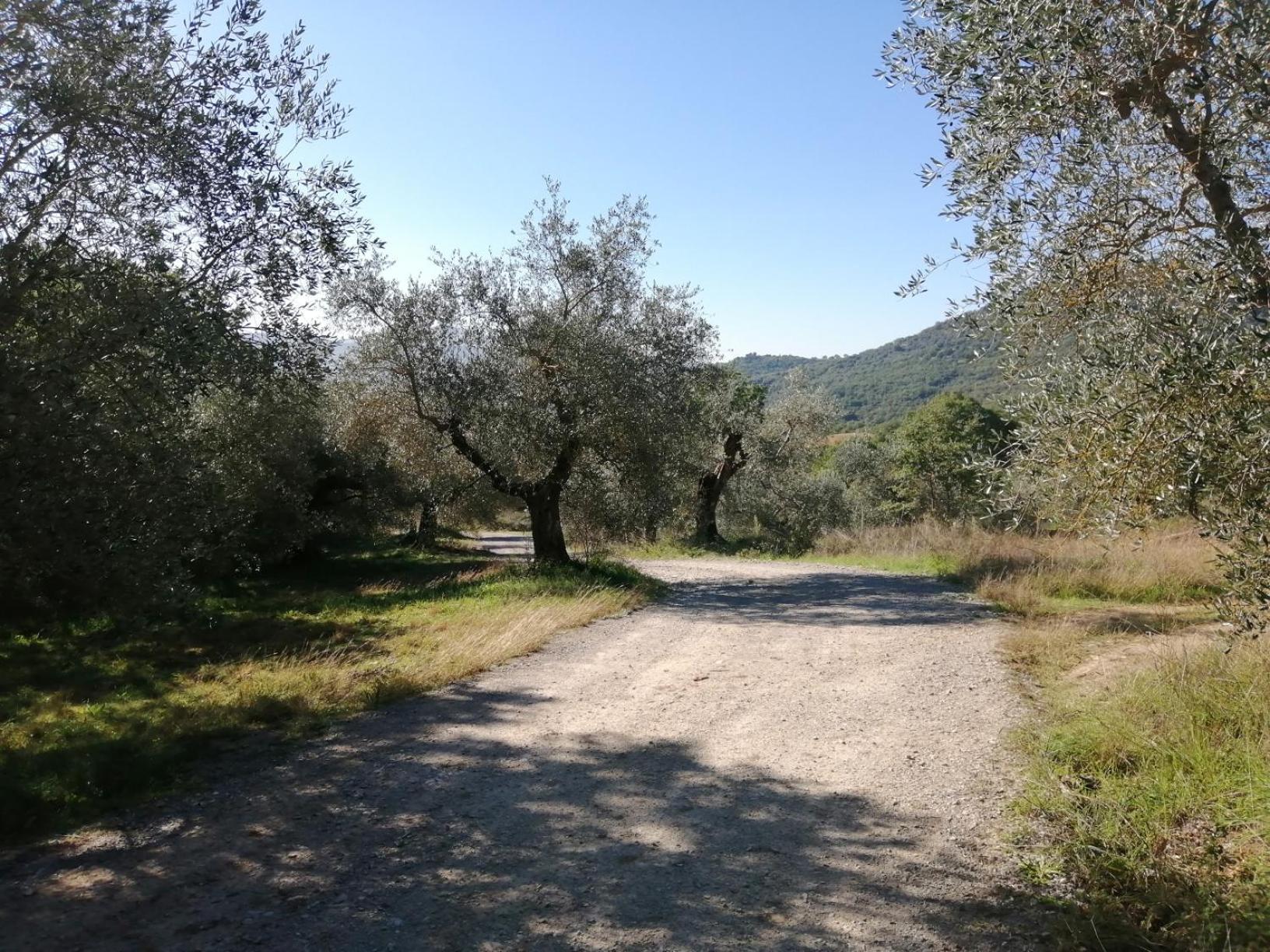 I Casali Di Colle San Paolo Bauernhof *