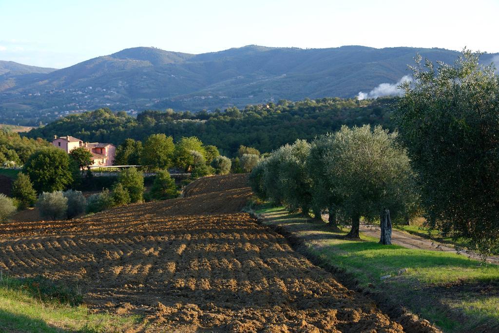 I Casali Di Colle San Paolo * Tavernelle (Panicale)
